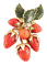 Strawberry Jewelry - Bogusia - 免费PNG 动画 GIF