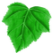 green leaf vineyard - png gratis GIF animasi