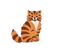 brown striped cat sticker - png gratis GIF animado