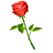 rosa roja - png gratis GIF animasi