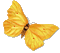 Papillon - Бесплатный анимированный гифка анимированный гифка