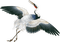 crane bird sunshine3 - Бесплатни анимирани ГИФ