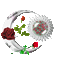 roses - Darmowy animowany GIF animowany gif