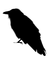 Raven - zadarmo png animovaný GIF