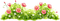 grass flower - zdarma png animovaný GIF