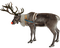 poro, Rudolph the Red Nosed Reindeer, Petteri Punakuono, reindeer - Free PNG Animated GIF