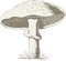 white mushroom Bb2 - zdarma png animovaný GIF