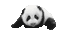 panda - Bezmaksas animēts GIF animēts GIF