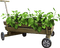 Kaz_Creations Deco Leaves Leafs Planter Barrow Cart  Garden - Free PNG Animated GIF