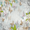 kikkapink spring pastel flowers animated fond