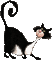 MMarcia gif gato preto chat - GIF animé gratuit GIF animé