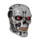 Kaz_Creations Skull Costume Mask - PNG gratuit GIF animé