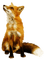 fox renard - PNG gratuit GIF animé