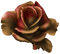 gothic rose - PNG gratuit GIF animé