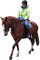 Kaz_Creations Girl On Horse 🐴 - бесплатно png анимированный гифка