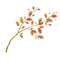 höst -kvist -blad ---autumn twig-leaves