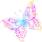 COLORFUL BUTTERFLY TRANSPARENT