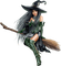 Witch and cat ❤️ elizamio - ingyenes png animált GIF