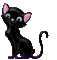 cat - GIF animado grátis Gif Animado