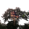 tree - house - zdarma png animovaný GIF
