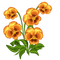Kaz_Creations Deco Flowers Flower Colours - besplatni png animirani GIF