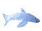 shark plushie - Ingyenes animált GIF animált GIF