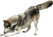 hund-----dog - darmowe png animowany gif