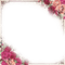 kikkapink vintage flowers frame art deco - Free PNG Animated GIF