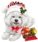 Kaz_Creations Christmas Dog Pup Dogs Colours - gratis png animeret GIF