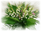 patymirabelle fleurs muguet