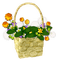 Kaz_Creations Deco Flowers Colours Basket - zadarmo png animovaný GIF