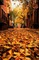 paisaje de otoño - png ฟรี GIF แบบเคลื่อนไหว