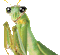 praying mantis - Бесплатный анимированный гифка анимированный гифка