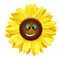 Sonnenblume - kostenlos png Animiertes GIF