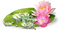 Tournesol94 fleur - kostenlos png Animiertes GIF