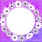 soave frame circle spring summer flowers - Free PNG Animated GIF