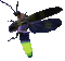 Firefly, Lightning Bug - Bezmaksas animēts GIF