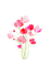 tulips  Bb2 - kostenlos png Animiertes GIF