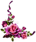 Coin rose mauve-violet et rose - PNG gratuit GIF animé