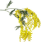 Flowers yellow bp - ingyenes png animált GIF