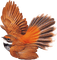 oiseau ** - Free PNG Animated GIF