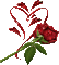 роза,сердце - GIF animado grátis Gif Animado