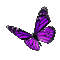 dolceluna animated glitter gif butterfly - Бесплатный анимированный гифка анимированный гифка