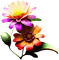 fiori luminosi - 免费PNG 动画 GIF