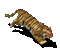 Low Poly Tiger - Bezmaksas animēts GIF animēts GIF