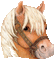 poney - Nemokamas animacinis gif animuotas GIF