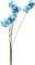 kikkapink blue flowers - PNG gratuit GIF animé