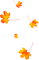 Leaves.Orange.Red - PNG gratuit GIF animé