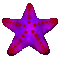 starfish toy light thing idk - Ingyenes animált GIF animált GIF