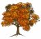 Fall Tree-RM